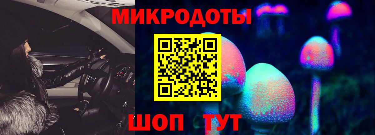 Галлюциногенные грибы Psilocybe  Вход с VPN  Майкоп  Галлюциногенные грибы MAGIC MUSHROOMS 